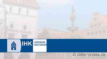 Social-Media-Marketing für Unternehmen – Kostenloser, digitaler Impuls beim IHKLW-Netzwerk Marketing, Vertrieb & PR - Celler Presse