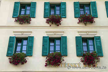 Der beste Sonnenschutz für die Fenster