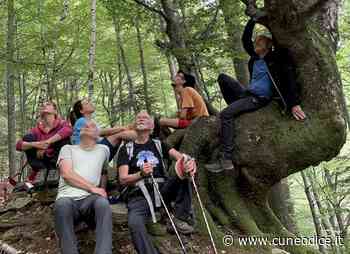 Al Monviso di Cuneo ˝Il ritratto del Duca˝ e ˝A riveder le stelle˝ - Cuneodice.it