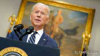 52 percent of Americans don't think Biden will run for reelection: poll