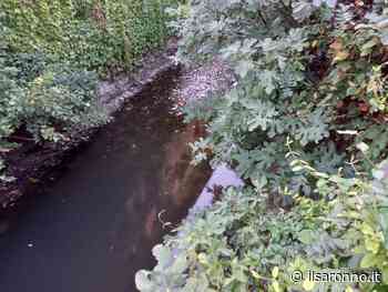 Saronno, il torrente Lura è tornato… marrone - ilSaronno