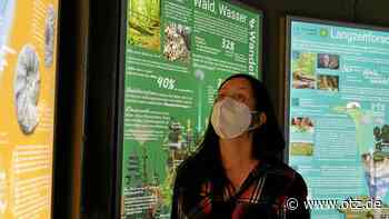 Uni Jena gestaltet neue Dauerausstellung auf dem Baumkronenpfad