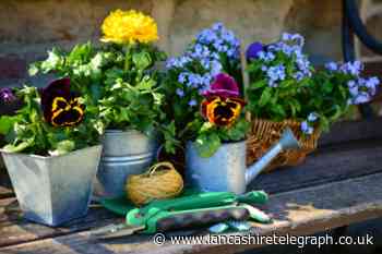 Mother's Day 2022: Gifts for the garden you can buy your mum, grandma and mother-in-law