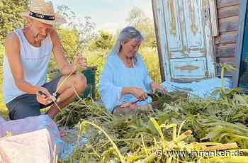 Ein kleines Feld ernährt ein Dorf