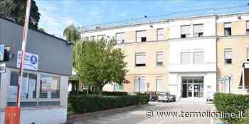 Sono 204 gli infermieri prorogati dall'Asrem fino al 31 dicembre - Termoli Online