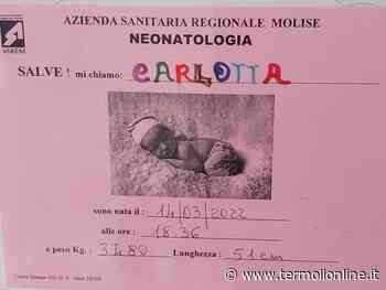 Termoli: Fiocco rosa al Punto nascita di Termoli, benvenuta Carlotta Tano: infiniti auguri - Termoli Online