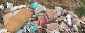 TERMOLI, ABBANDONO RIFIUTI: L&RSQUO;ASSESSORE RITA COLACI REPLICA AL M5S - Molise Web