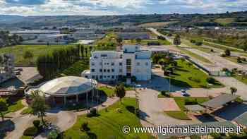 Un colosso dell'e-commerce approderà a Termoli - Il Giornale del Molise