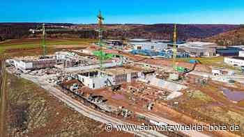 Krieg bestimmt Ausschuss: Grüne wollen noch mal über Energie bei Campus in Calw reden