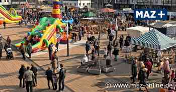 Frühlingsgalerie: Stadt Rathenow übernimmt die Rolle des Veranstalters - Märkische Allgemeine Zeitung