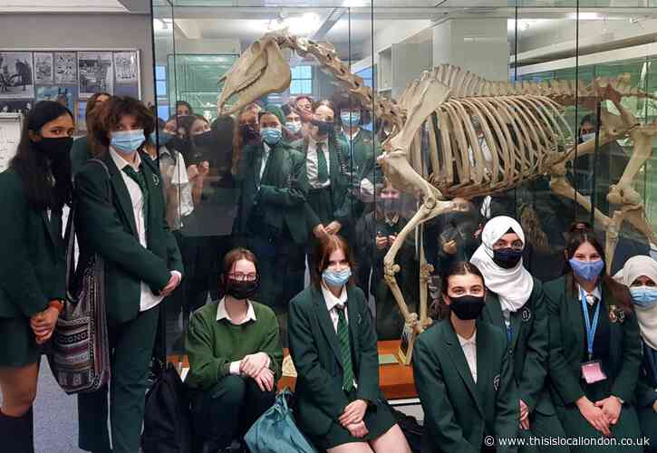 Royal Veterinary College trip experience- Ivelina Zhisheva, Walthamstow School for Girls