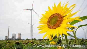 Jetzt bewerben um den Braunschweiger Klimaschutzpreis!
