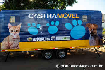 Prefeitura de Itaperuna lança programa de castração animal - Plantão dos Lagos