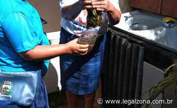 CVAS Itaperuna faz ações em pontos estratégicos e intensifica atividades em bairros e distritos - Portal Legalzona