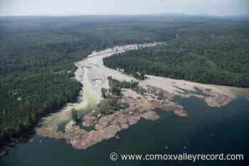 Regulator fines engineers 8 years after Mount Polley disaster in B.C. - Comox Valley Record
