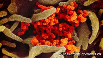 Saskatoon wastewater samples show 5% increase in coronavirus traces - CTV News Saskatoon