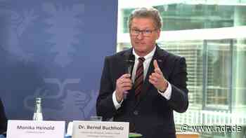 "Eine Batteriezellen-Gigafactory in Heide ist eine Megachance" - NDR.de