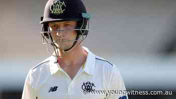 Bancroft ton gives NSW the Blues in Shield - The Young Witness