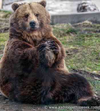 BC Wildlife Park to host national conference - Kamloops This Week