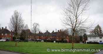 Village green success for Sutton Coldfield crescent as residents win fight to protect land - Birmingham Live