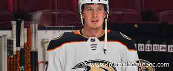 Une vente de feu chez les Ducks?