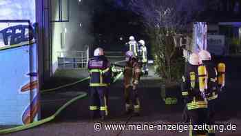 Feuer im Kölner Zoo unter Kontrolle