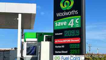 Wall Street makes strong gains as oil drops back to pre-war levels