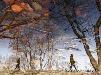 COVID-19 Update: Jean Charest tests positive | Majority of Albertans support lifting of restrictions: survey | Manitoba ends mask requirement - Calgary Herald