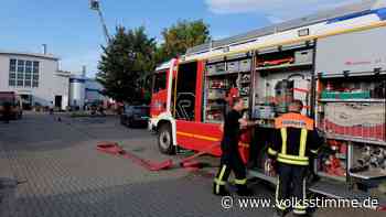 Vorharzer Feuerwehr braucht hauptamtliches Personal - Volksstimme
