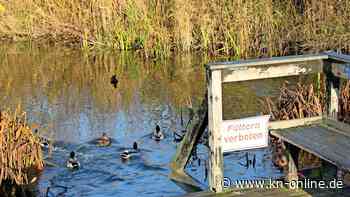 Mann rettet 17 Monate altes Mädchen vor Ertrinken