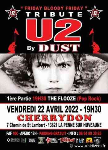 DUST + THE FLOOZE Cherrydon vendredi 22 avril 2022 - Unidivers