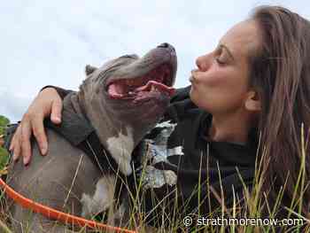 Langdon business enraged after scam robs her social media - StrathmoreNow.com