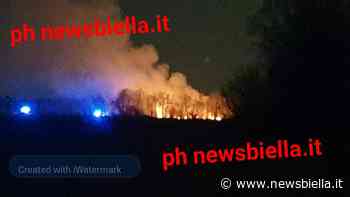 Esteso incendio al confine tra Biella e Vercelli. Al lavoro diverse squadre Vigili del Fuoco FOTO e VIDEO - newsbiella.it
