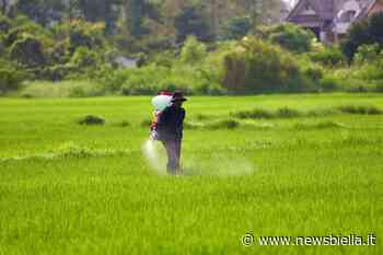 Coldiretti Vercelli-Biella - Ucraina: minaccia di Putin sui prezzi del cibo - newsbiella.it