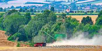 Weizenkrise im Raum Hildesheim: Ohne einen Kompromiss geht es nicht - www.hildesheimer-allgemeine.de