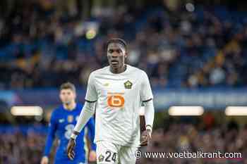 'Amadou Onana wil vertrekken bij OSC Lille' - Voetbalnieuws - Voetbalkrant.com