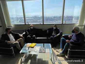 Allevatori, divario tra costi di produzione e ricavi: Matera sollecita l'intervento della Regione - Uno Tv Web