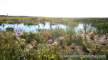 Riverhurst wetland restoration project wins Saskatchewan Municipal Award - WestCentralOnline.com
