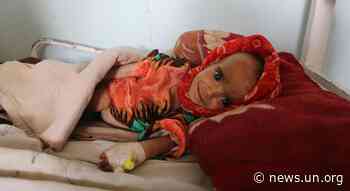 Afghanistan: Food insecurity and malnutrition threaten 'an entire generation' - UN News
