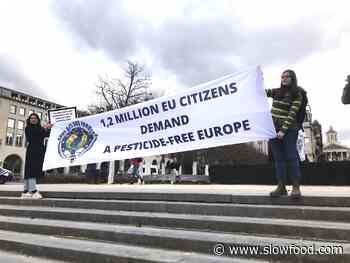 Civil Society Opposes Agribusiness Greenwashing Over EU Food Policies - Slow Food International