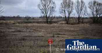 Ukraine invasion may lead to worldwide food crisis, warns UN - The Guardian