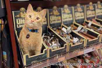 Expansions in pet retail space contribute to Pet Valu's growth - Pet Food Processing