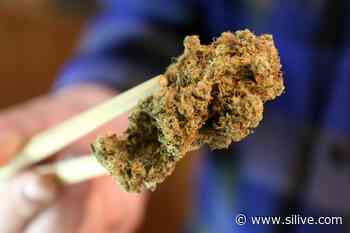 First New York marijuana retail licenses will go to those with prior weed convictions - SILive.com