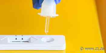 Corona-Schnelltest positiv: Das müssen Sie in Celle beachten - Cellesche Zeitung