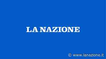 De Iuliis replica a Gesuele Massa e ’Ponte’, è pari - LA NAZIONE