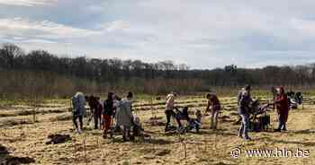 Kleine keikopjes zorgen voor 150 extra bomen in Poperinge - Het Laatste Nieuws