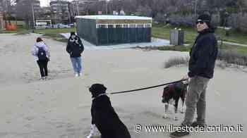Quel 'Kiosco' affoga nella sabbia "Dune alte 4 metri, prato sparito" - il Resto del Carlino