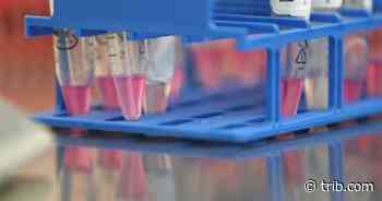 Daily Wyoming coronavirus update: 257 new cases, 231 new recoveries | Wyoming News | trib.com - Casper Star-Tribune