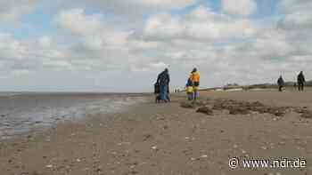 Corona-Auszeit: Familienurlaub in Cuxhaven - NDR.de