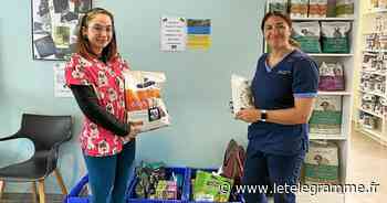 À Lorient, une collecte pour aider les animaux et leurs maîtres en Ukraine - Le Télégramme